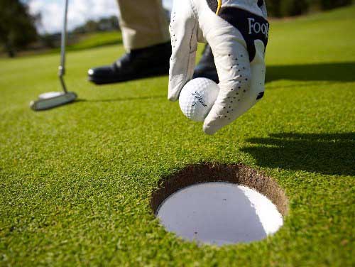 Golf greens 